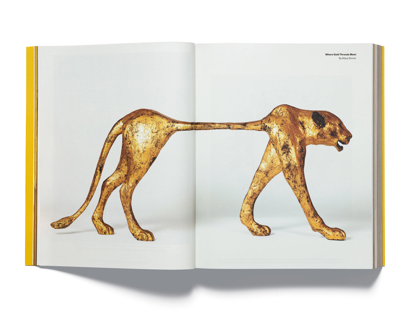 Acne Paper, #20 - Golden