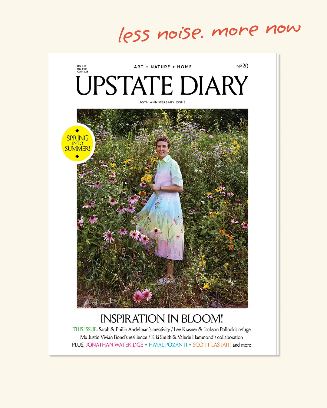 Upstate_diary