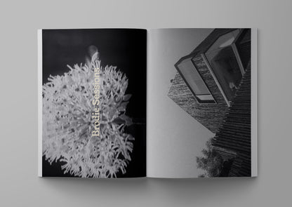Ark Journal