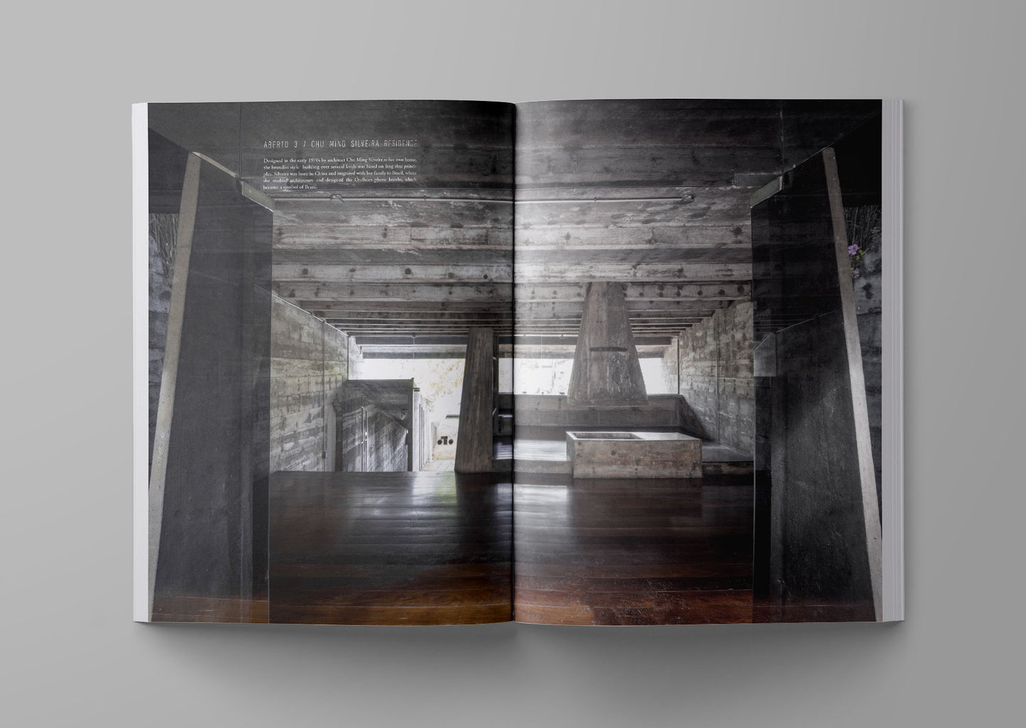 Ark Journal, XV