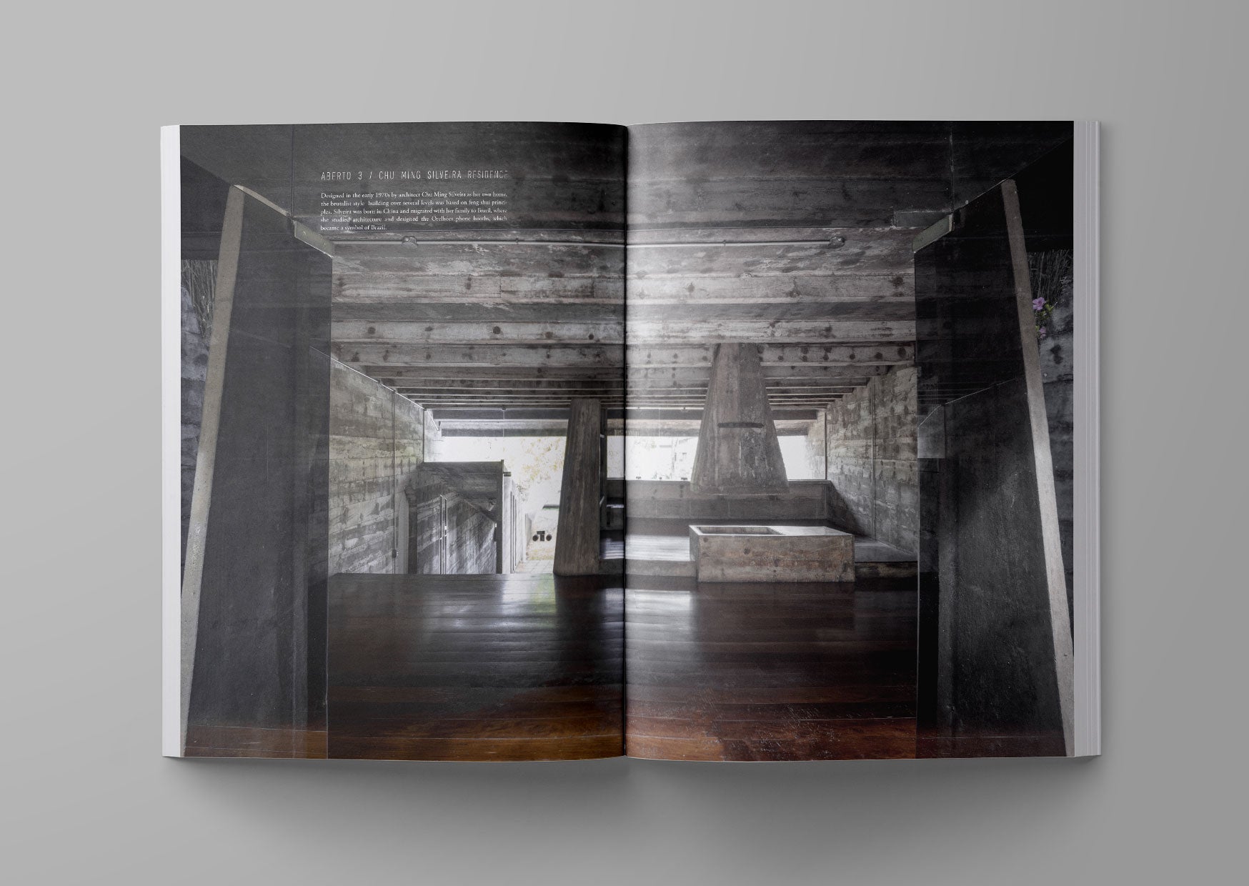 Ark Journal, XV
