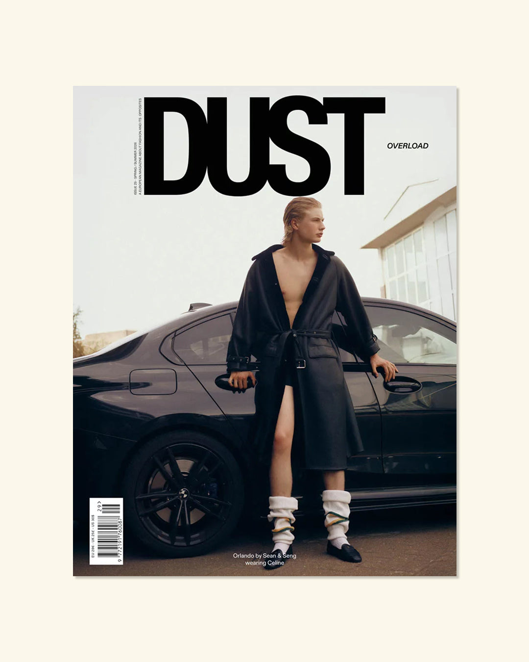 Dust #29