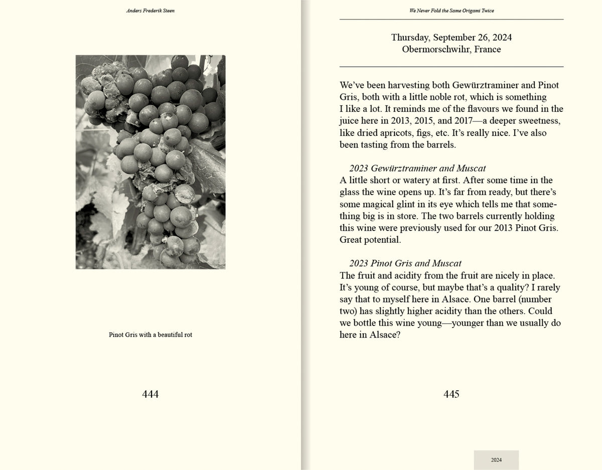 We Never Fold the Same Origami Twice, Anders Frederik Steen (Vol. II)
