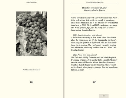 We Never Fold the Same Origami Twice, Anders Frederik Steen (Vol. II)