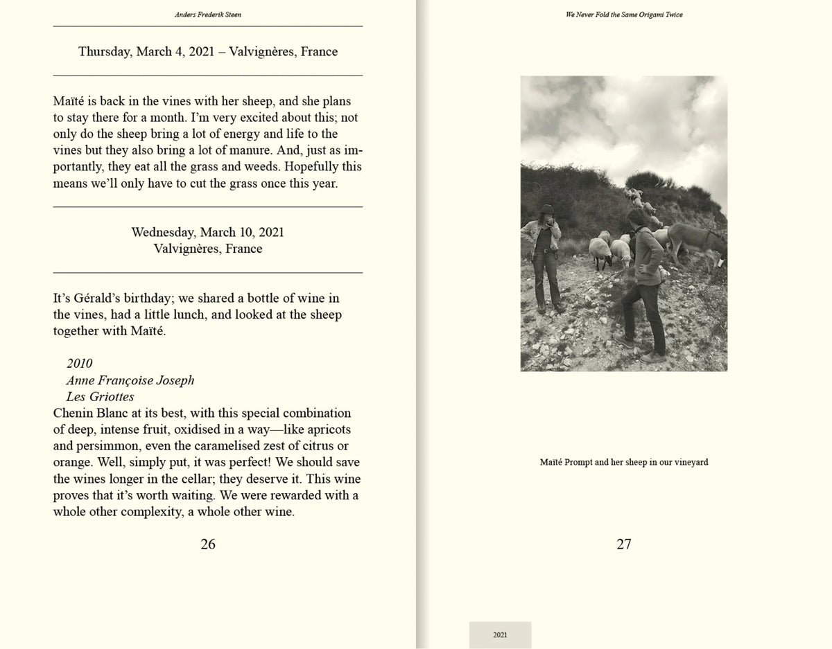 We Never Fold the Same Origami Twice, Anders Frederik Steen (Vol. II)