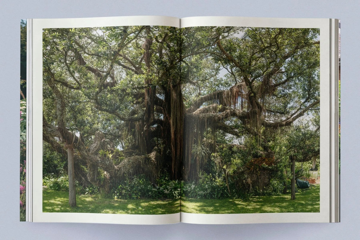Sage #2