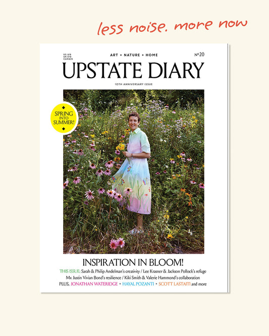 Upstate_diary