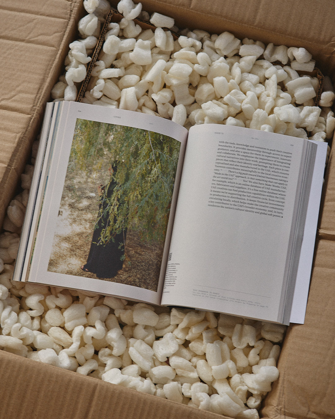 Brownbook, №72