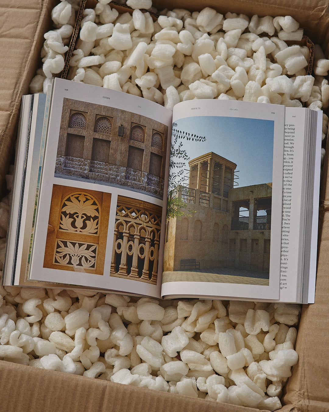 Brownbook, №72