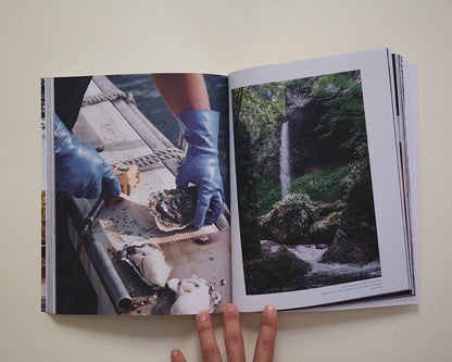 Lodestars Anthology, №7 Japan (Revisited)